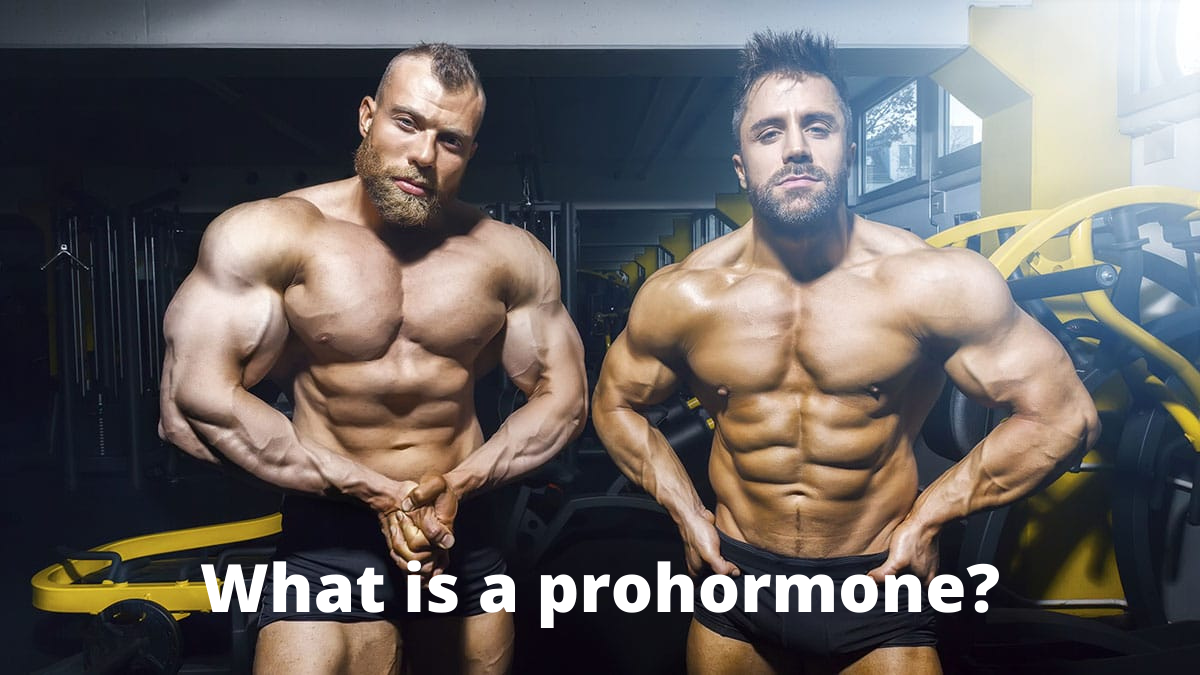 4 Key Tactics The Pros Use For legal steroids