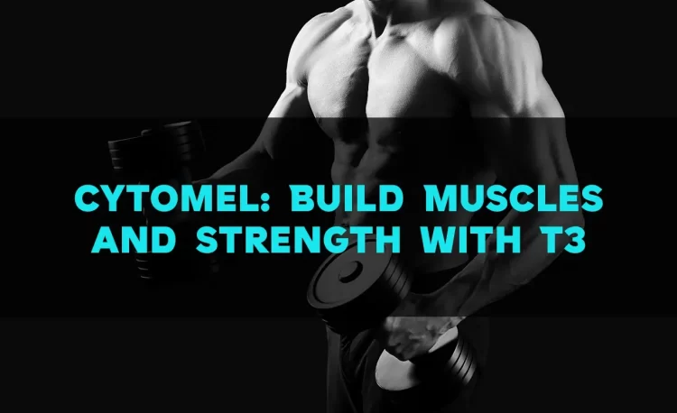 Cytomel T3 in bodybuilding for weight loss