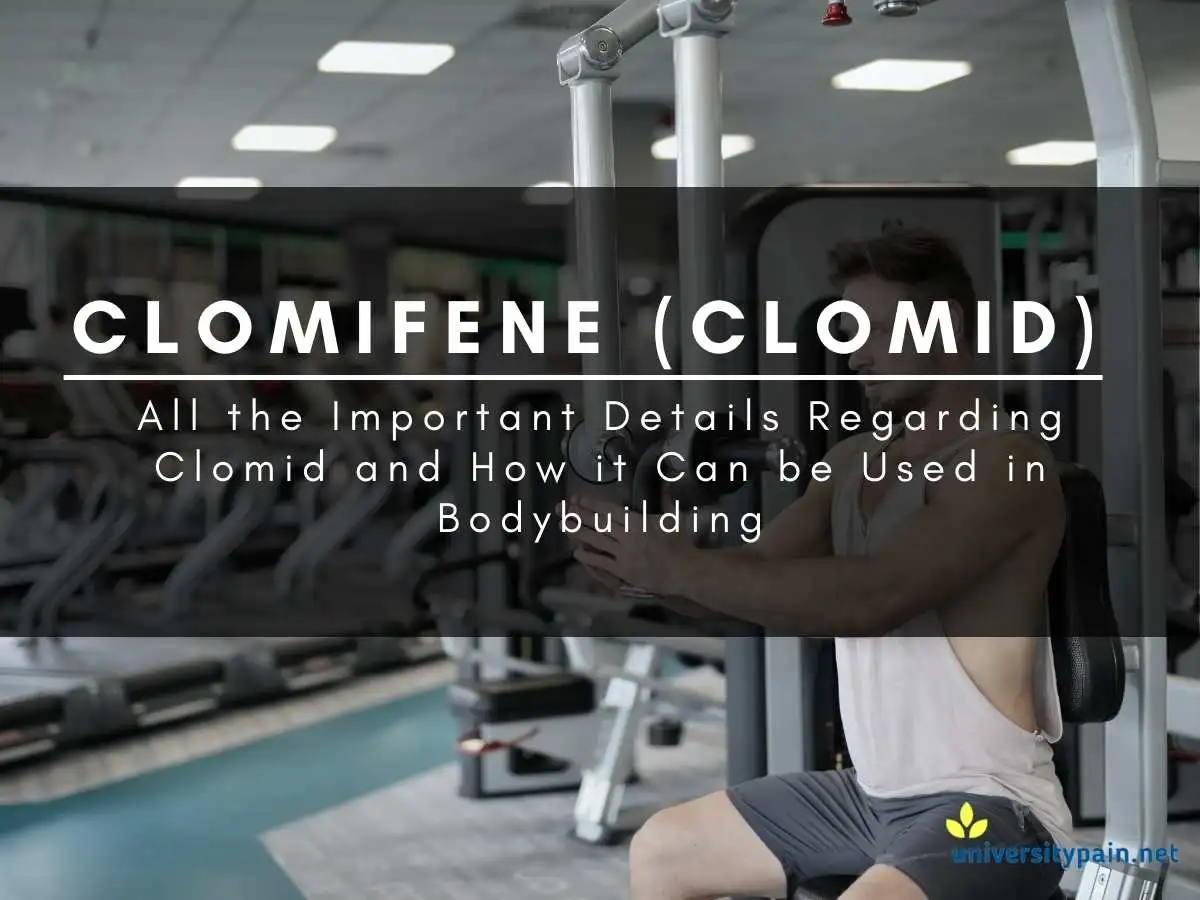 Clomifene-review