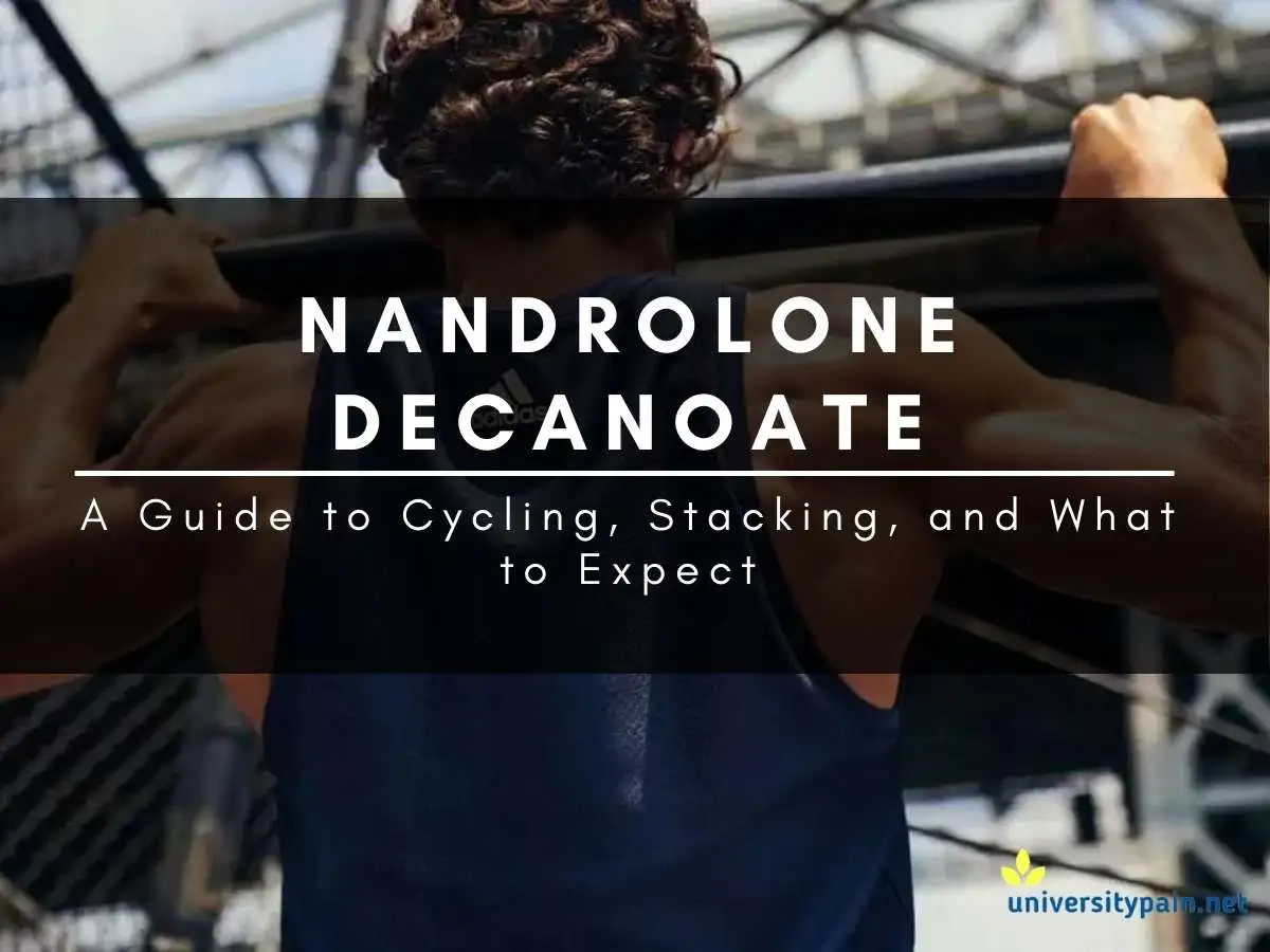 Nandrolone-Decanoate-review