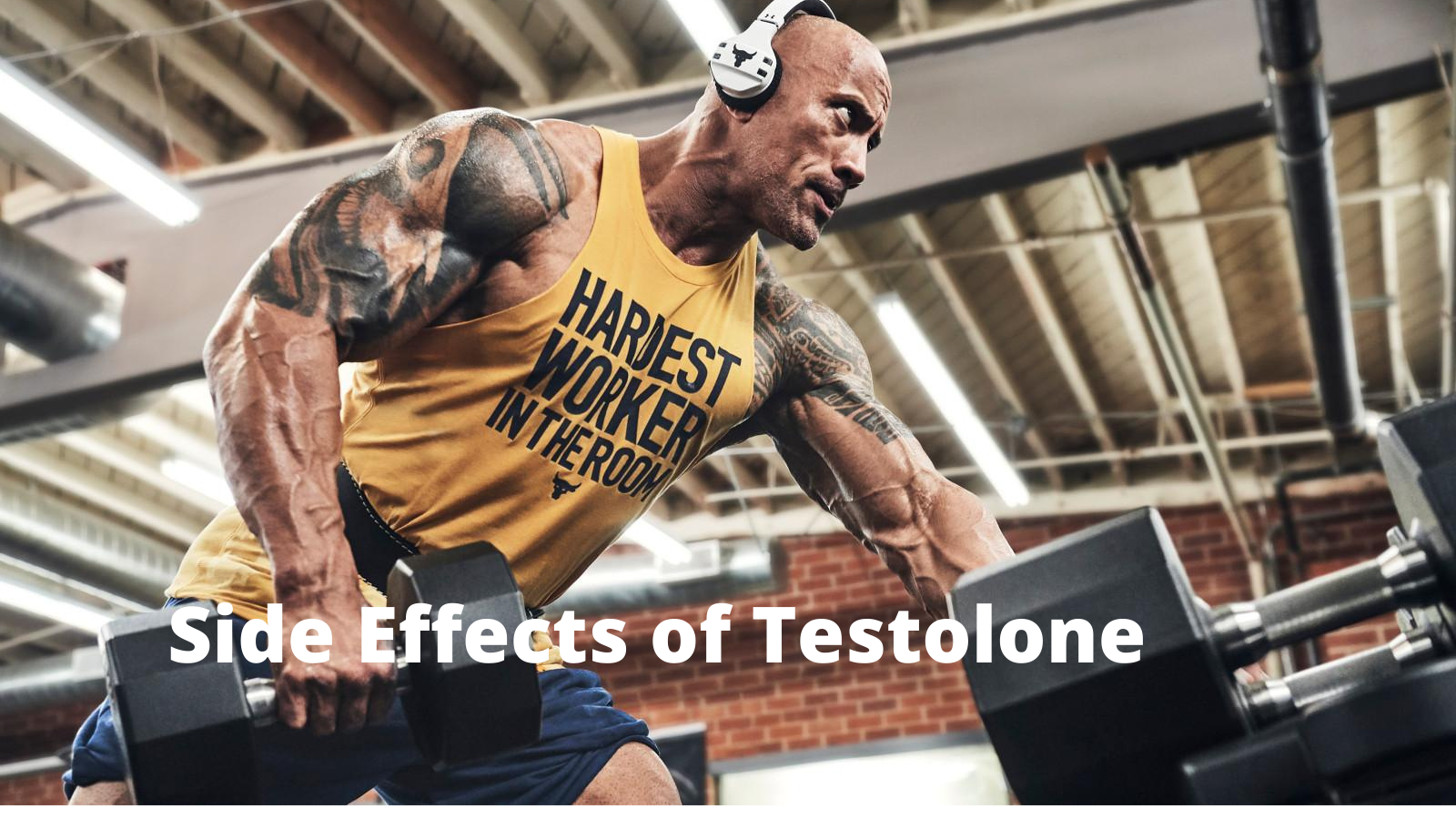 Testolone Side Effects