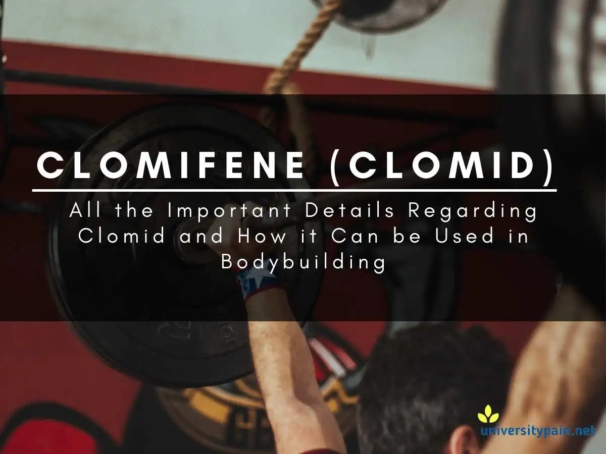 Clomifene-supplements