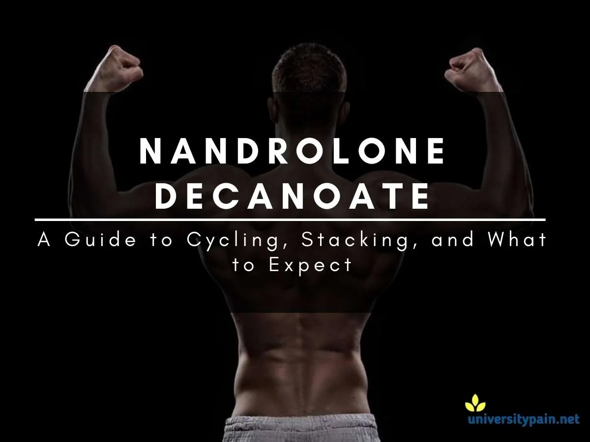 Nandrolone-Decanoate-CYCLE