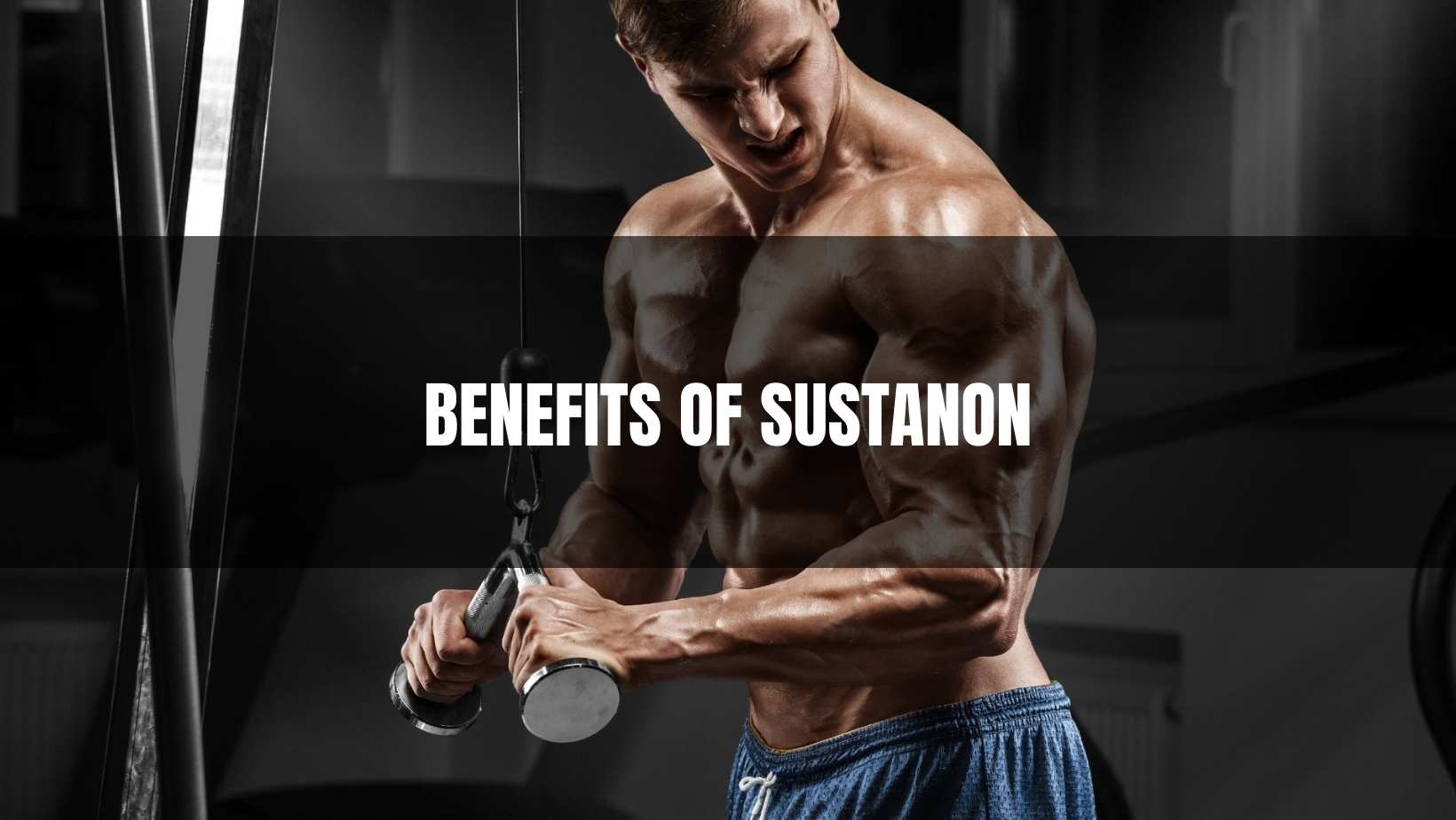 Benefits of Sustanon