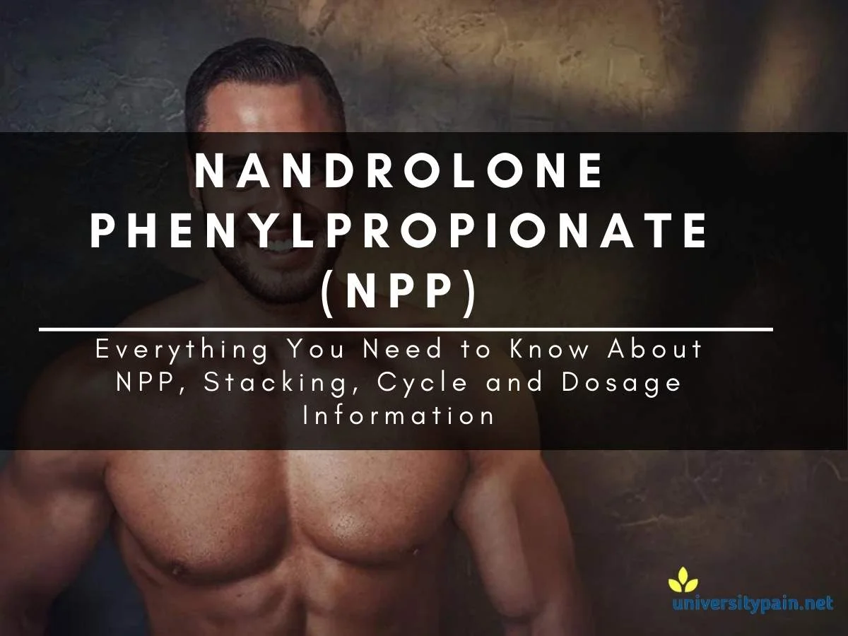 Nandrolone-Phenylpropionate-dosage