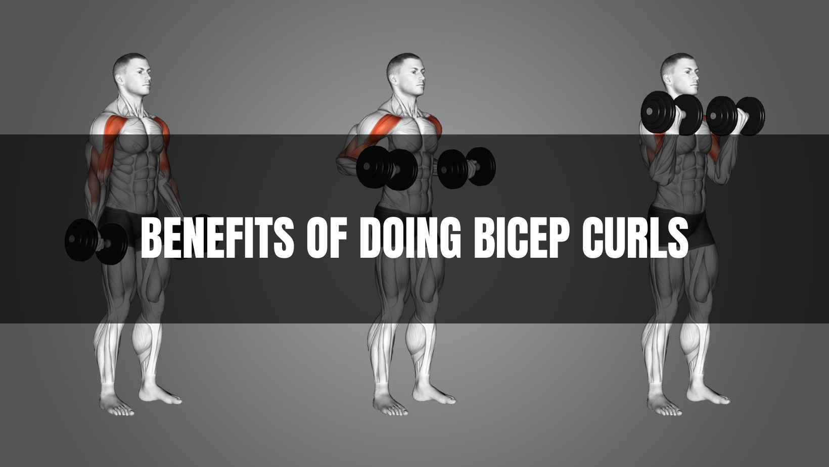 Benefits of Doing Bicep Curls