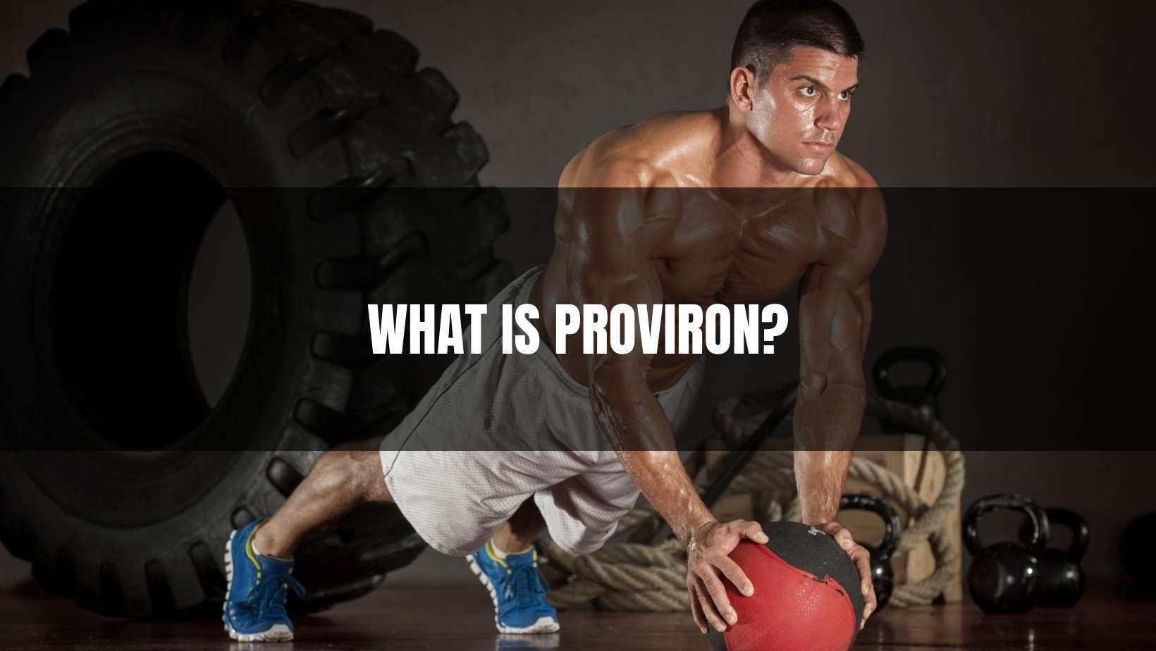 What is Proviron